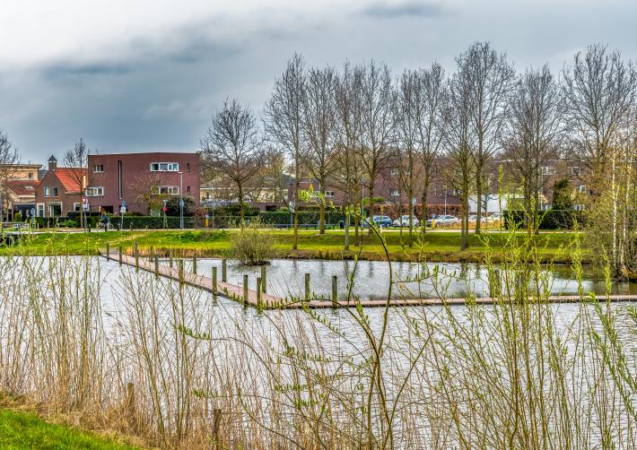 Vijver in Bredase woonwijk
