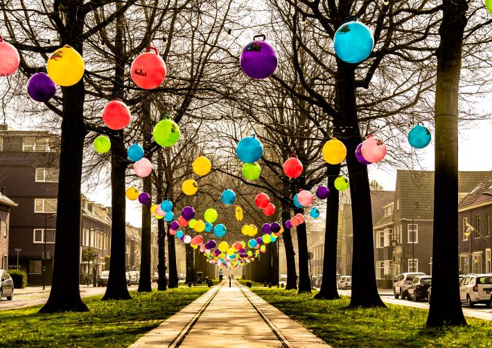 Hangende skippyballen in bomen in diverse kleuren