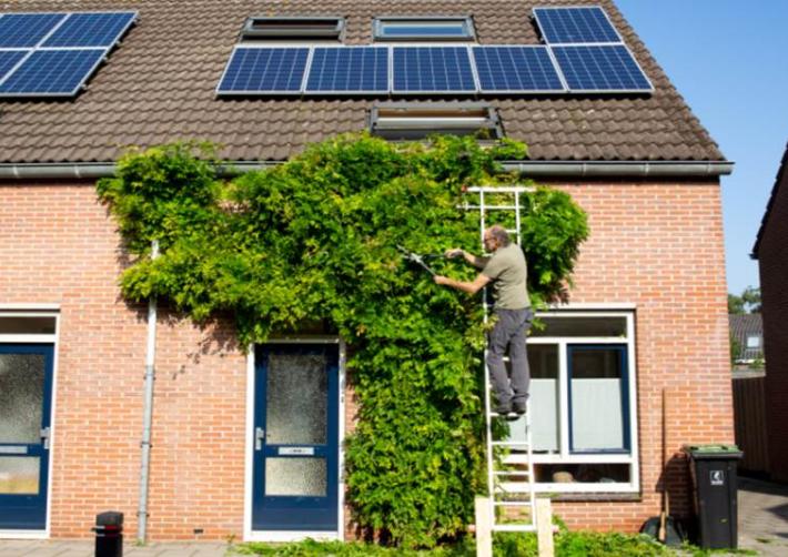 Woning met klimop