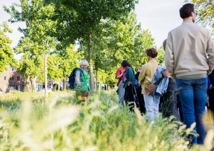 Inwoners krijgen uitleg over het groen langs de Singels van Breda.