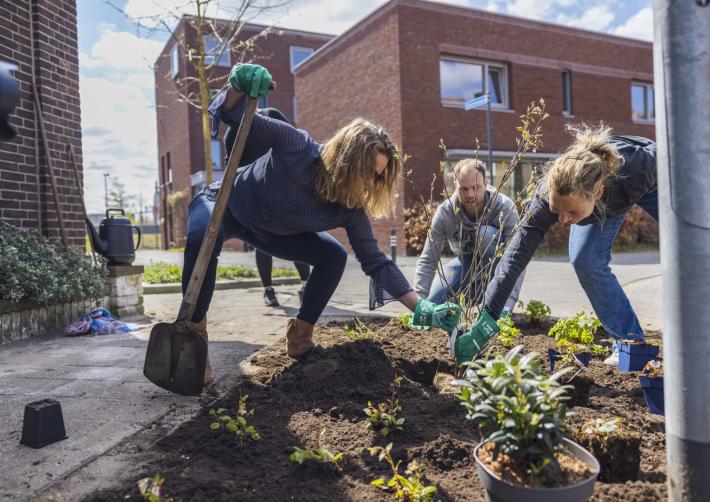 Tegels weghalen en groen planten