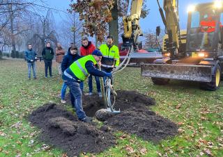 Wethouder plant boom plant samen met twee leerlingen van het eco-team van het OLV de eerste nieuwe bomen in het Wilhelminapark.
