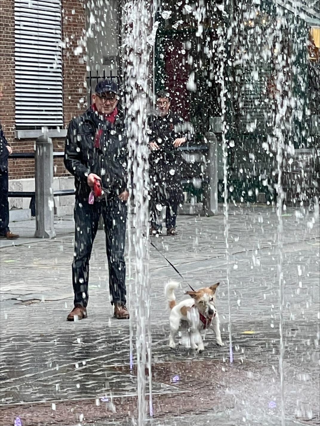 Tijns Waterplein