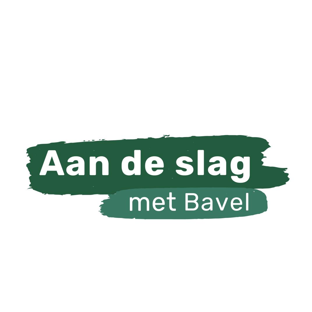 projectlogo voor Bavel