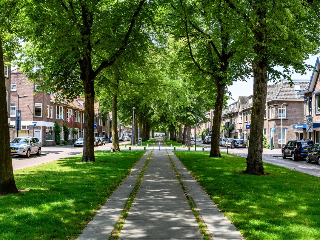 Doorkijkje Belcrumweg
