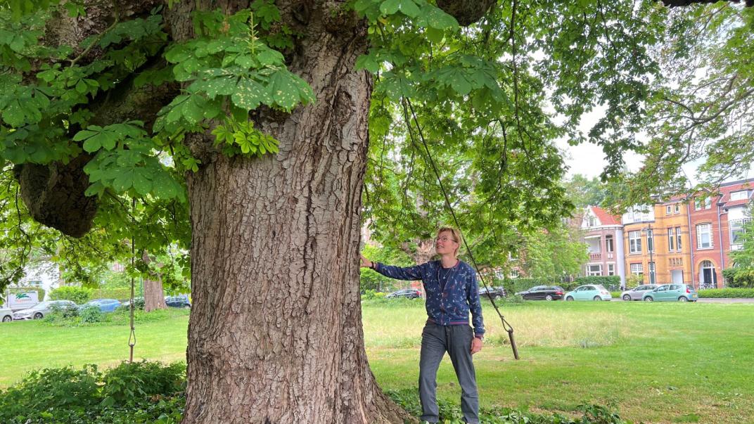 MarieJosé bij een oude boom in de Baronielaan 