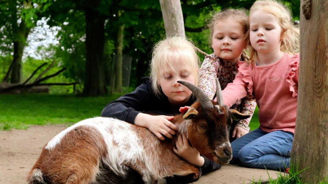 Spelende kinderen op Boerderij Wolfslaar