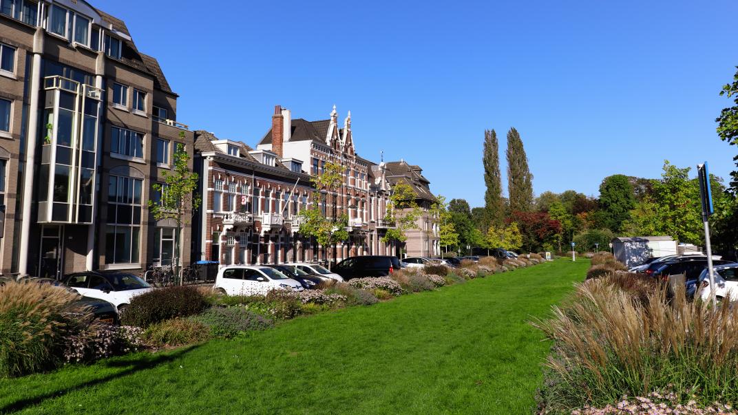 Groene straat